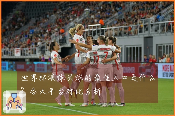 世界杯滚球买球的最佳入口是什么？各大平台对比分析