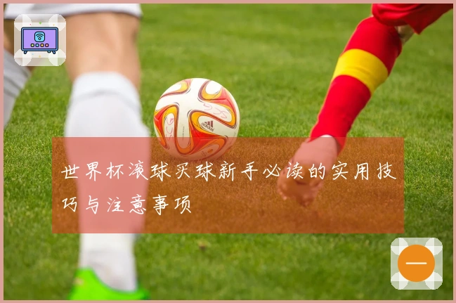 世界杯滚球买球新手必读的实用技巧与注意事项
