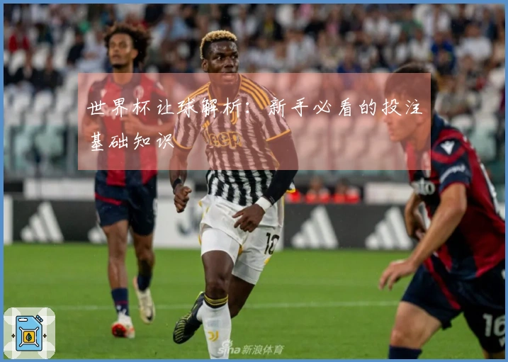 世界杯让球解析：新手必看的投注基础知识