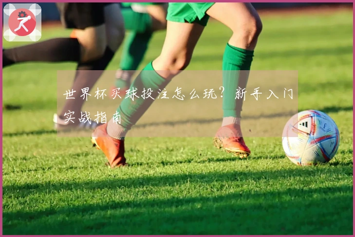 世界杯买球投注怎么玩？新手入门实战指南