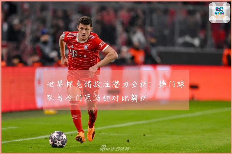 世界杯竞猜投注潜力分析：热门球队与冷门黑马的对比解析
