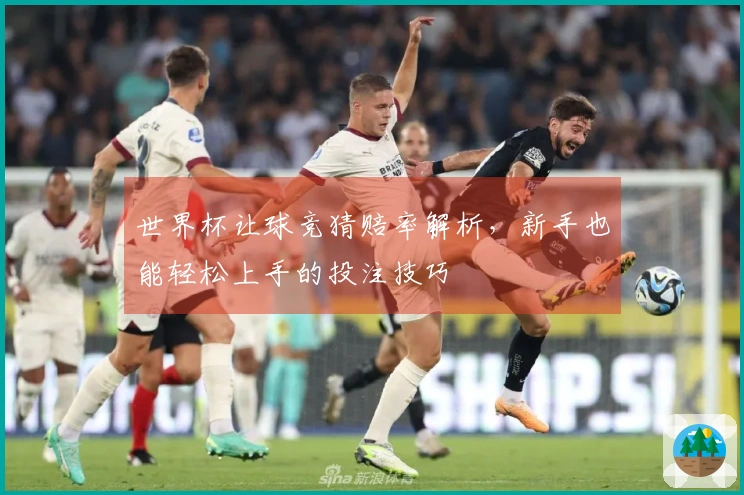 世界杯让球竞猜赔率解析，新手也能轻松上手的投注技巧