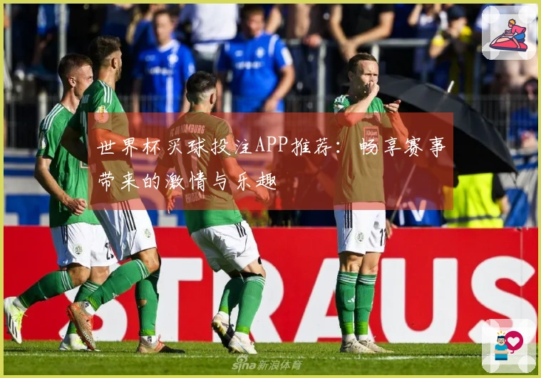 世界杯买球投注APP推荐：畅享赛事带来的激情与乐趣