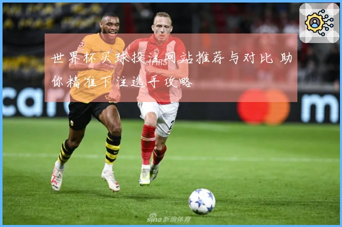世界杯买球投注网站推荐与对比 助你精准下注选手攻略