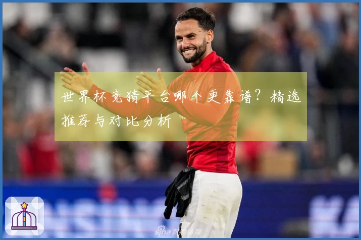 世界杯竞猜平台哪个更靠谱？精选推荐与对比分析