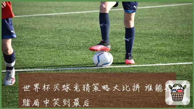 世界杯买球竞猜策略大比拼 谁能在赌局中笑到最后