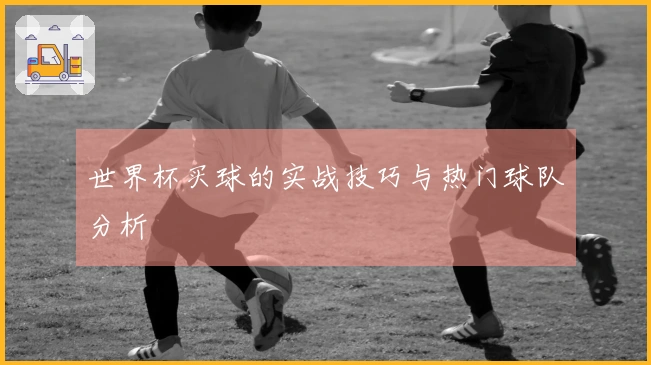 世界杯买球的实战技巧与热门球队分析