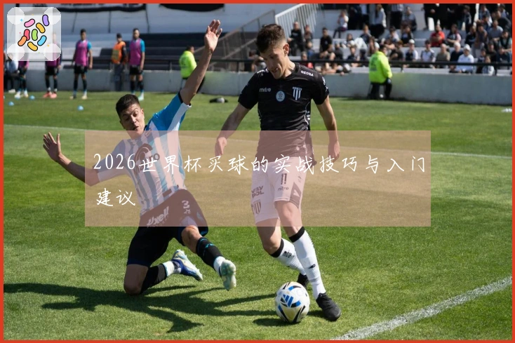 2026世界杯买球的实战技巧与入门建议