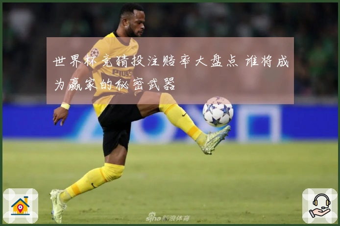 世界杯竞猜投注赔率大盘点 谁将成为赢家的秘密武器