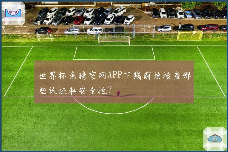 世界杯竞猜官网APP下载前该检查哪些认证和安全性？