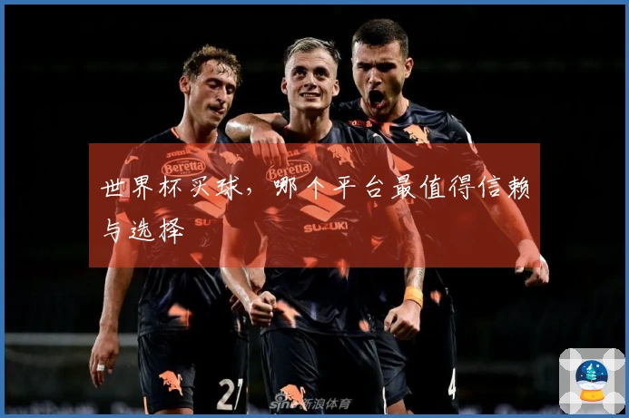 世界杯买球，哪个平台最值得信赖与选择