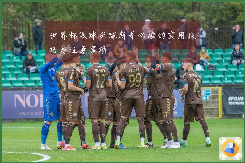 世界杯滚球买球新手必读的实用技巧与注意事项