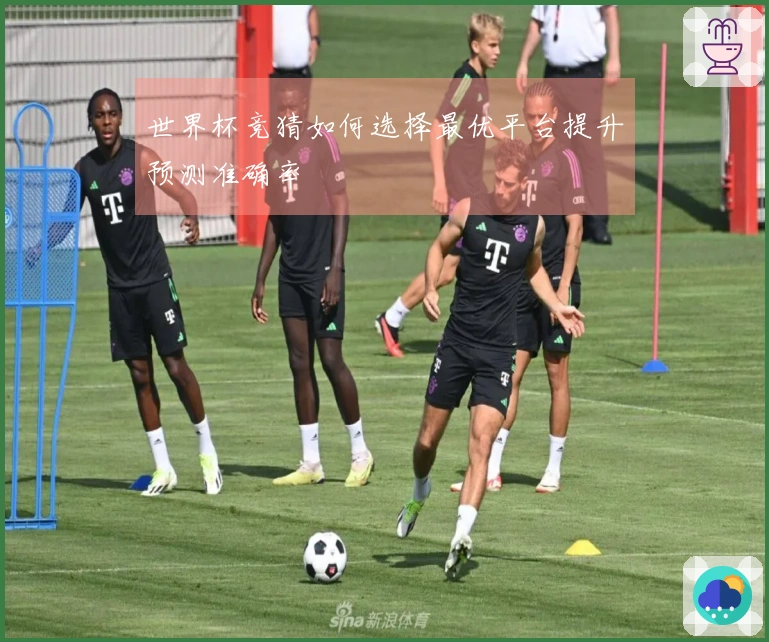 世界杯竞猜如何选择最优平台提升预测准确率