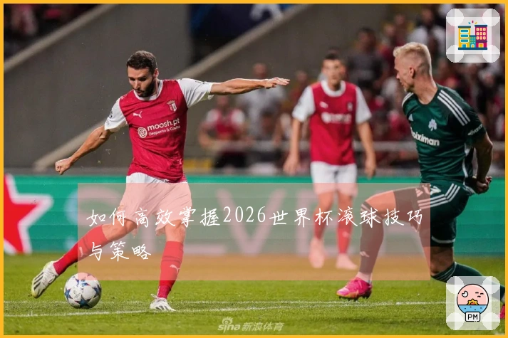 如何高效掌握2026世界杯滚球技巧与策略