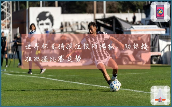 世界杯竞猜投注技巧揭秘，助你精准把握比赛走势