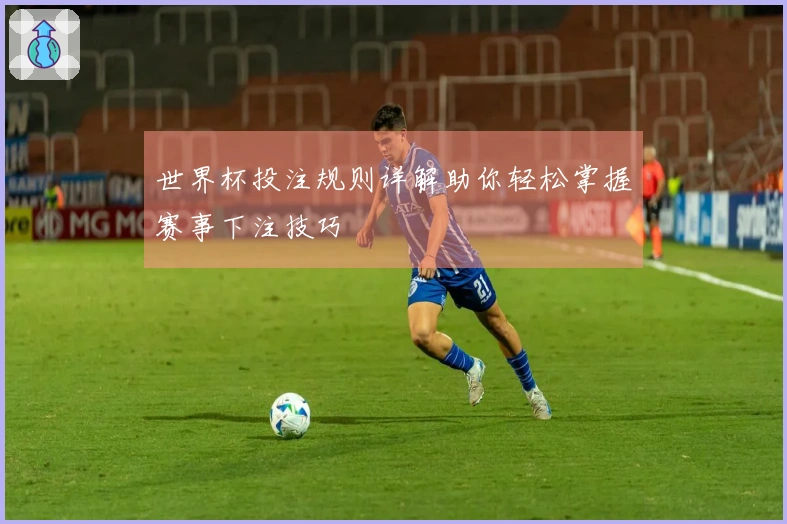 世界杯投注规则详解助你轻松掌握赛事下注技巧