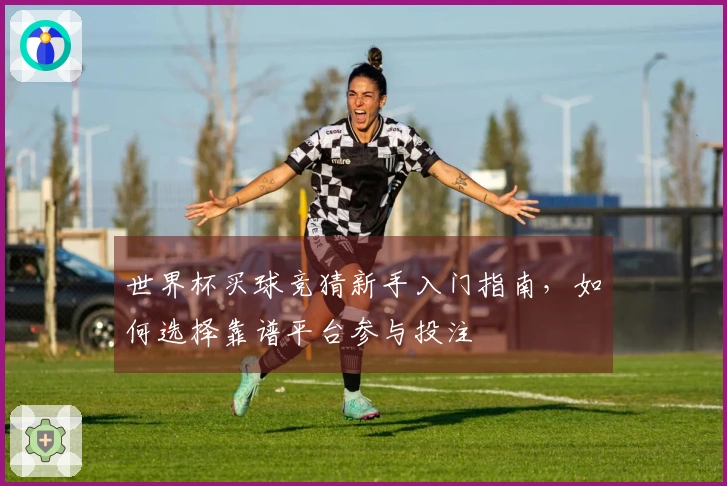 世界杯买球竞猜新手入门指南，如何选择靠谱平台参与投注