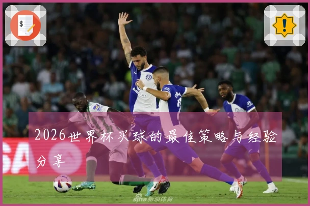 2026世界杯买球的最佳策略与经验分享
