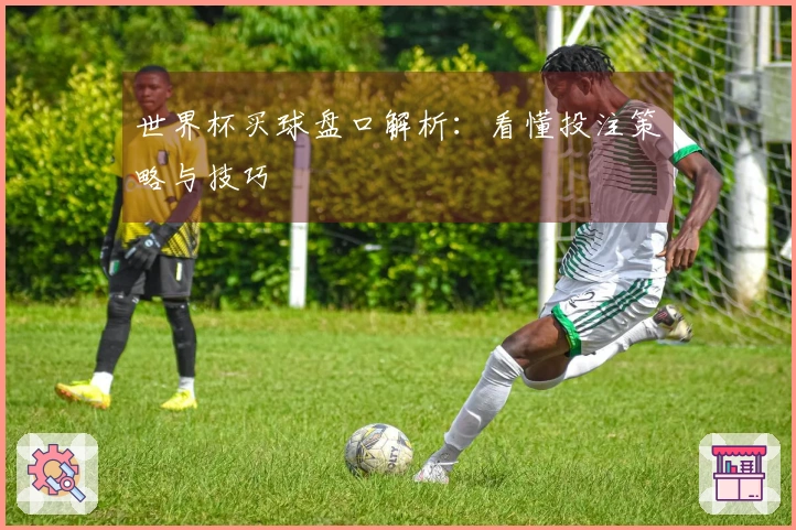 世界杯买球盘口解析：看懂投注策略与技巧