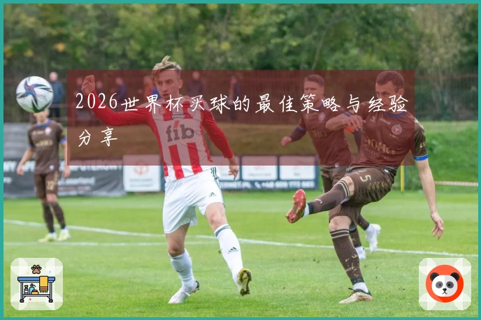 2026世界杯买球的最佳策略与经验分享