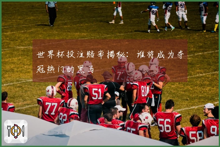 世界杯投注赔率揭秘：谁将成为夺冠热门的黑马
